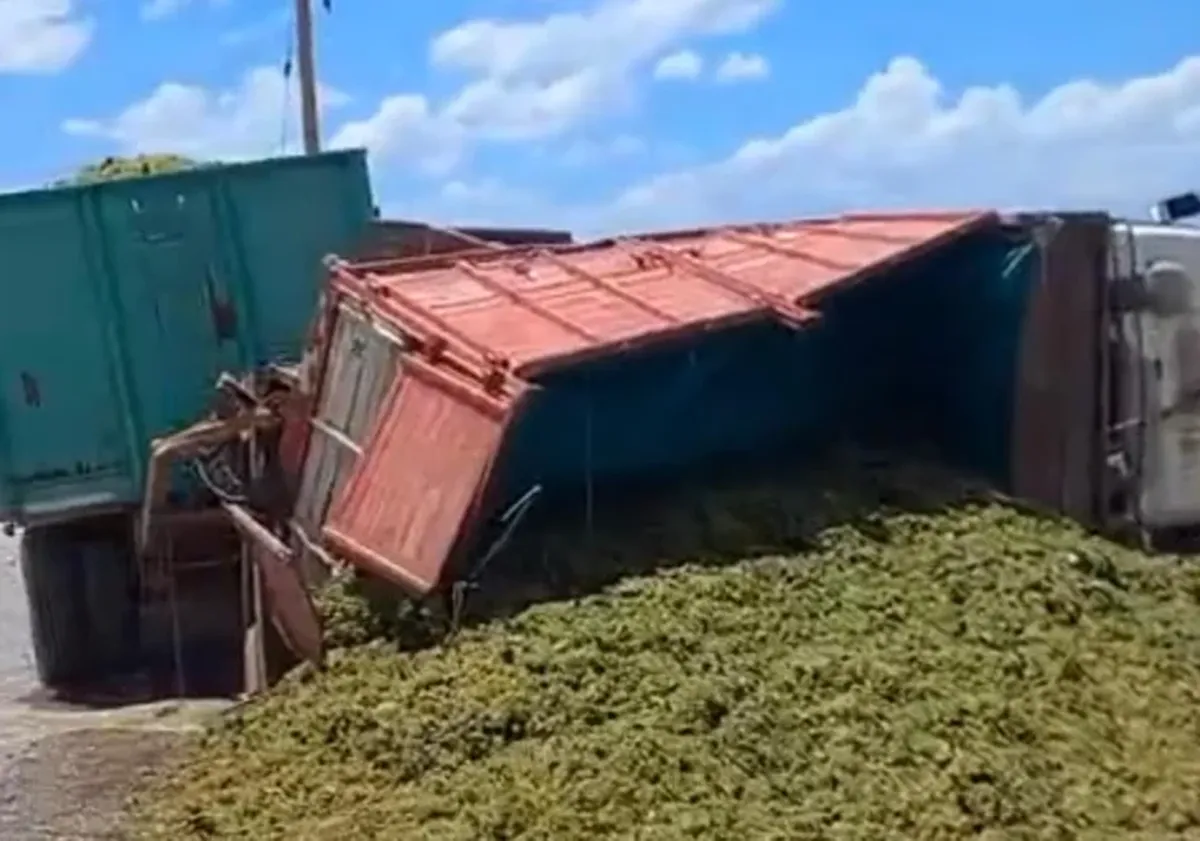 image - 2026-01-30T185210.978