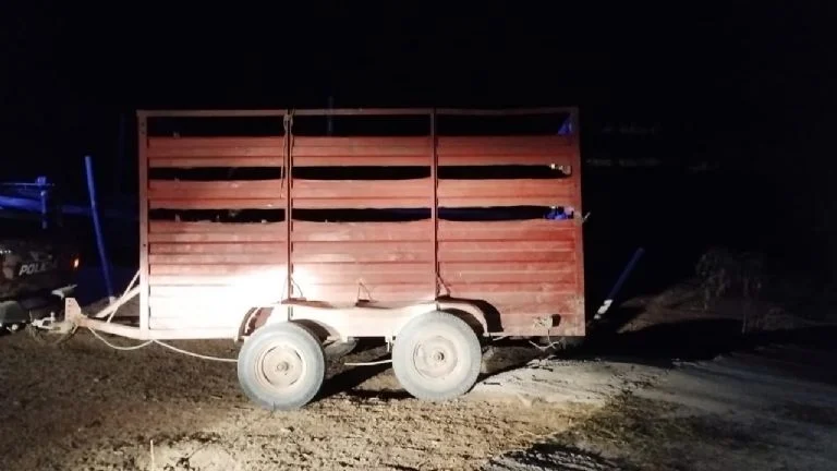 f768x1-381525_381652_5050