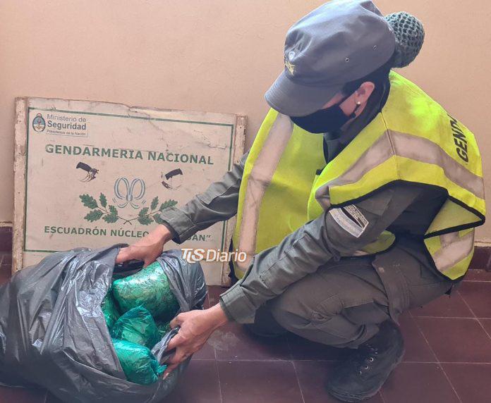 Secuestro-de-hojas-de-coca-696x572
