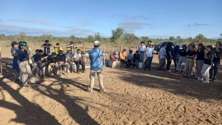 FB_IMG_1711403568814