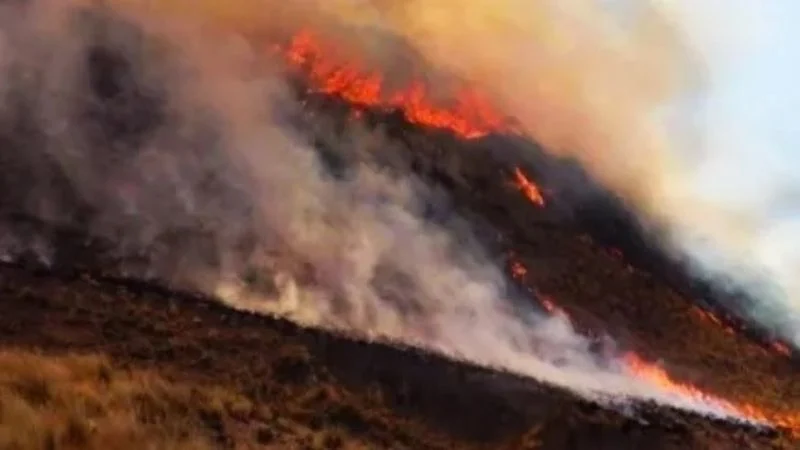 f800x450-397605_449051_5050