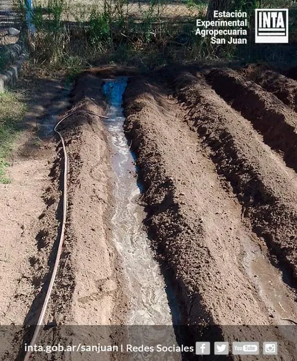 FB_IMG_1712699008680