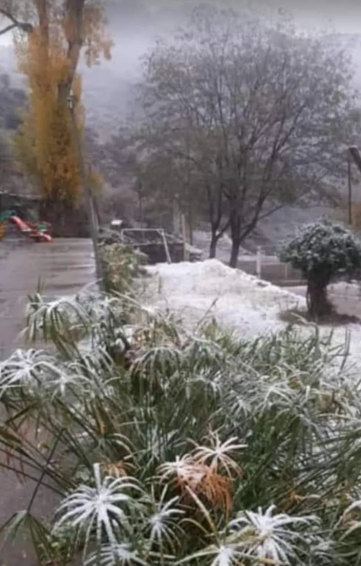 025f33de-6c4e-4cc1-a8e9-4452d9ea555b