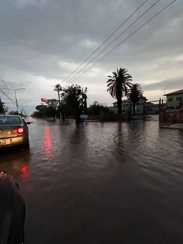 md - 2026-02-01T123116.947