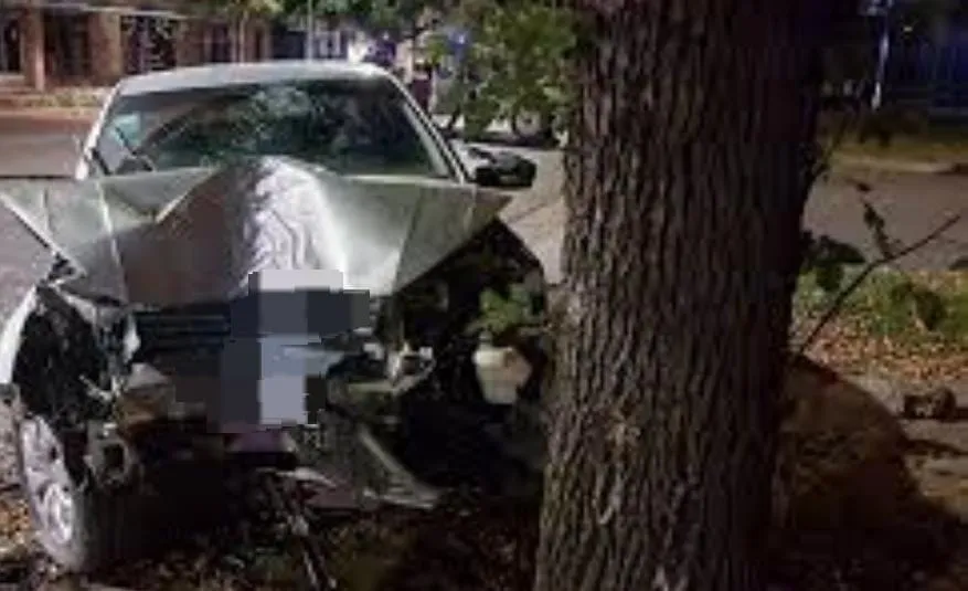 choque-arbol-patente