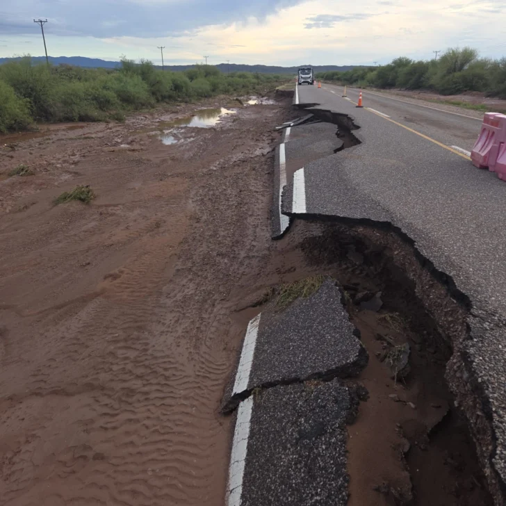 f7104de5-783b-4d28-ad43-c29b8f0c2dfa-728x728