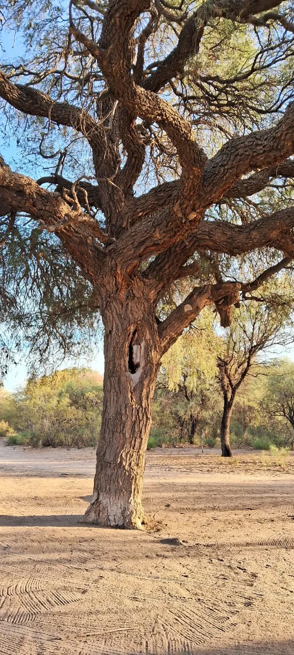 7b1c2022-37dc-4b5e-8b92-e24fc2678943