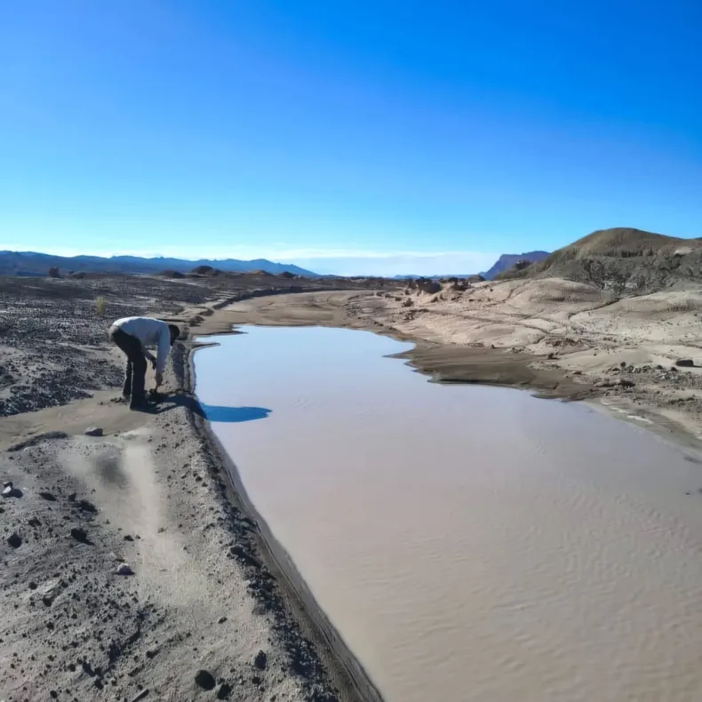 image - 2025-12-12T140938.382