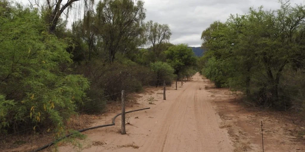 Valle Fértil