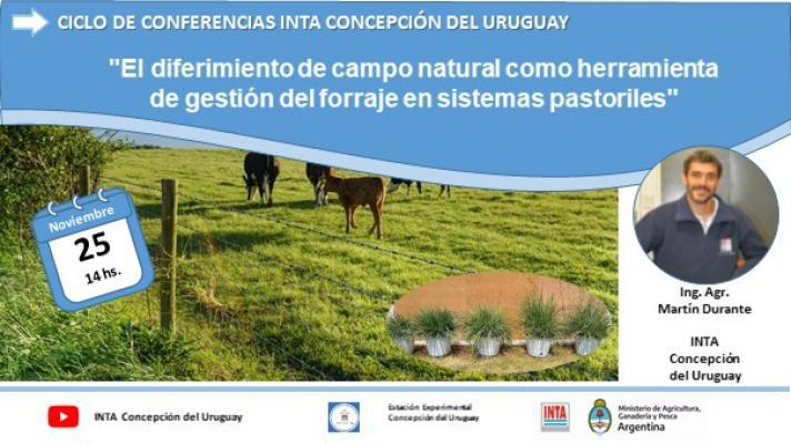 conferencia_25_de_noviembre