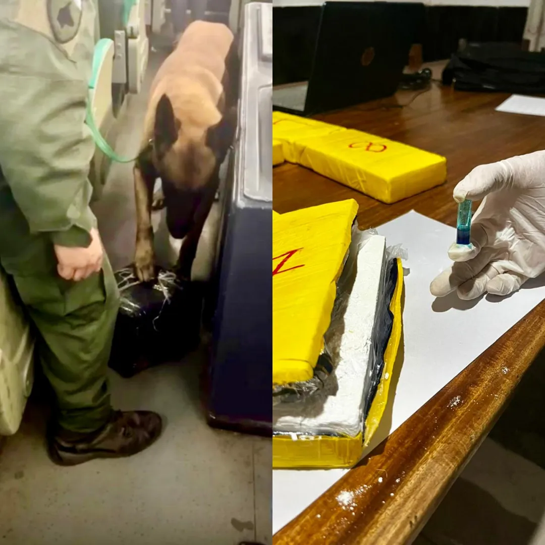 trasladaba_mas_de_ocho_kilos_de_cocaina_en_un_tour_de_compras_7