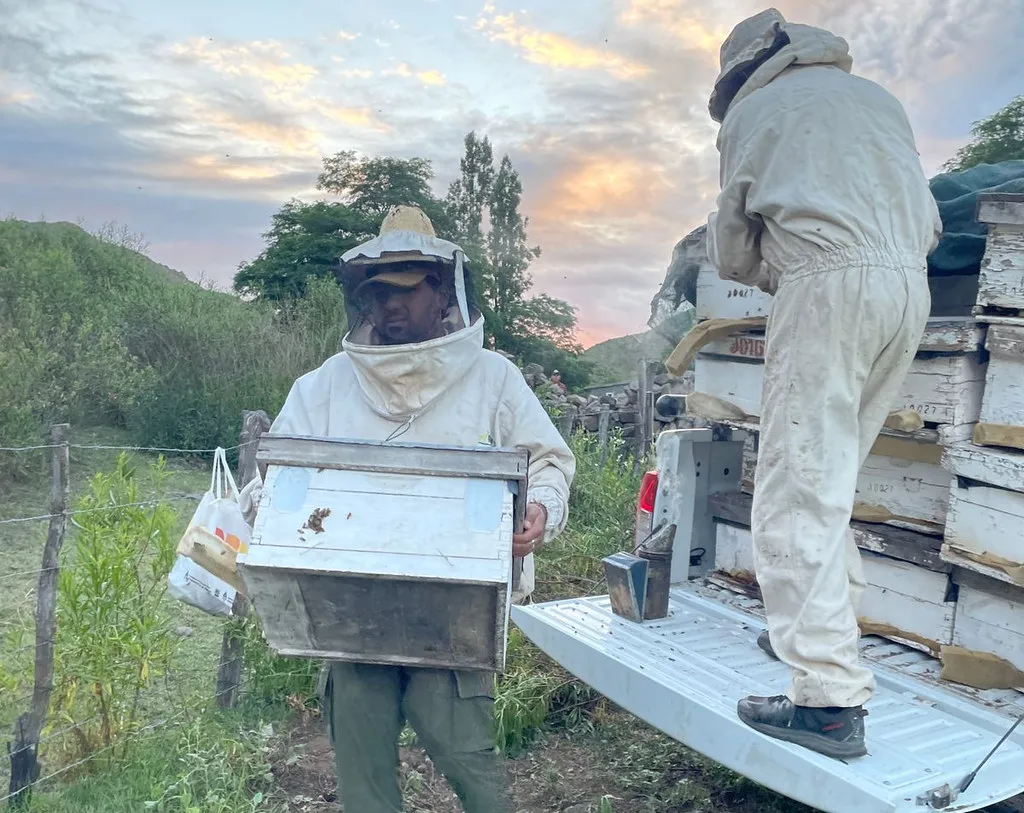 54181039411_f7c2e9c336_b