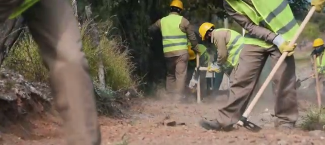 multimedia.normal.bc484db3d3563359.53637265656e73686f745f32303231303530342d3134303130325f6e6f726d616c2e706e67