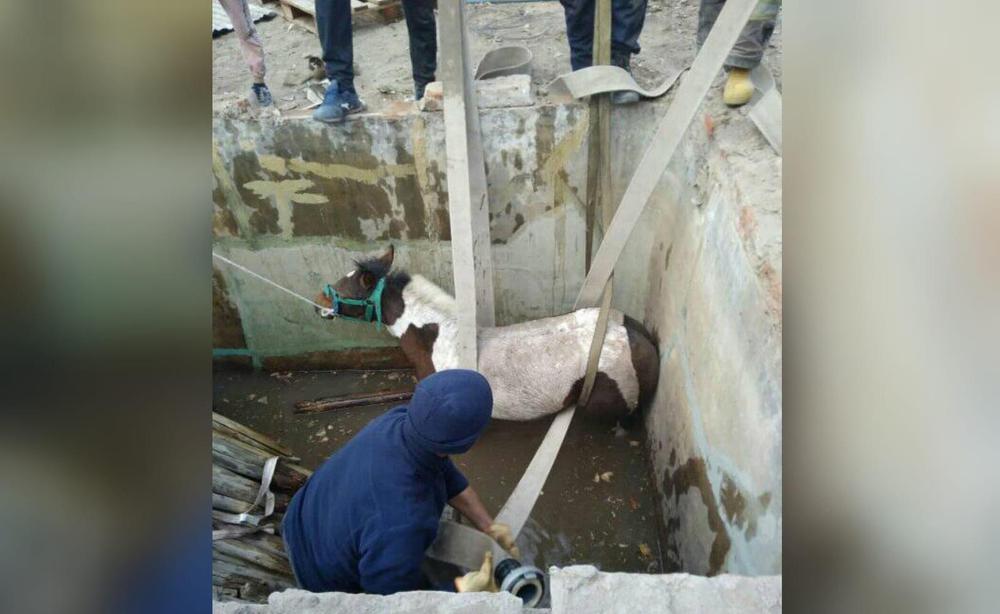 multimedia.normal.81b486845a8859b0.39346165306639652d323735622d343430662d613661622d66363739343937635f6e6f726d616c2e6a7067