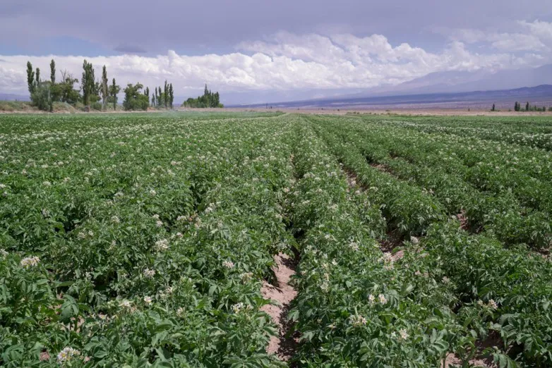 0c14eb3594693a3fafea44f2486bd75e_L