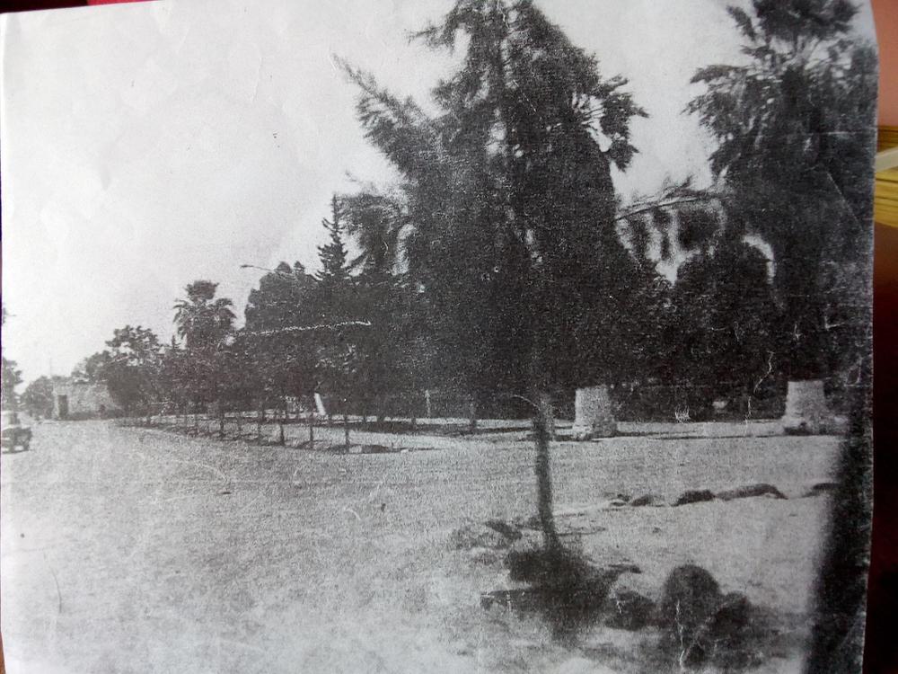 154955250_424387845534736_1500195566075581104_o