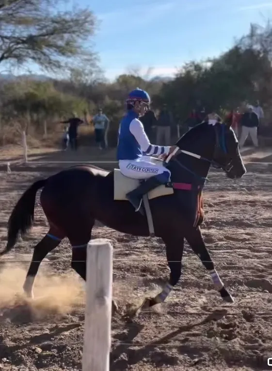 Screenshot_20250810-203504~2