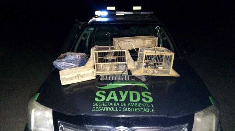 3a9d407e1ba6a38db24f6544b27fca29_L