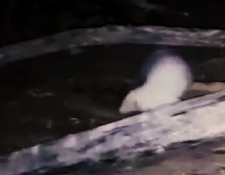 Screenshot_20250809-143010~2