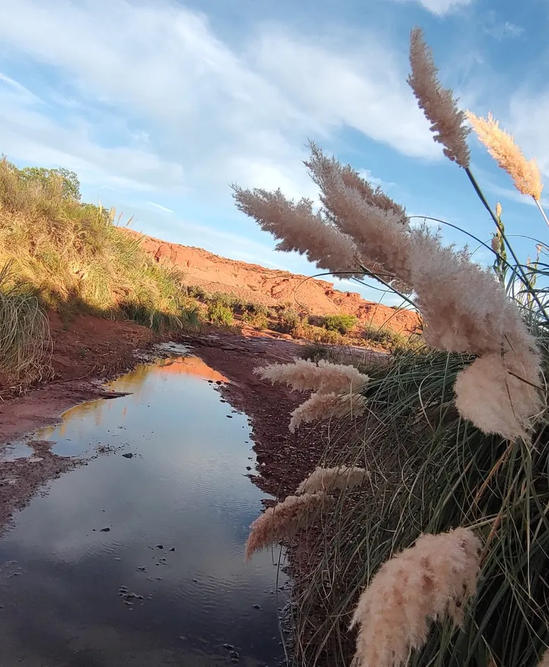 whatsapp-image-2025-03-14-at-004607-2jpeg