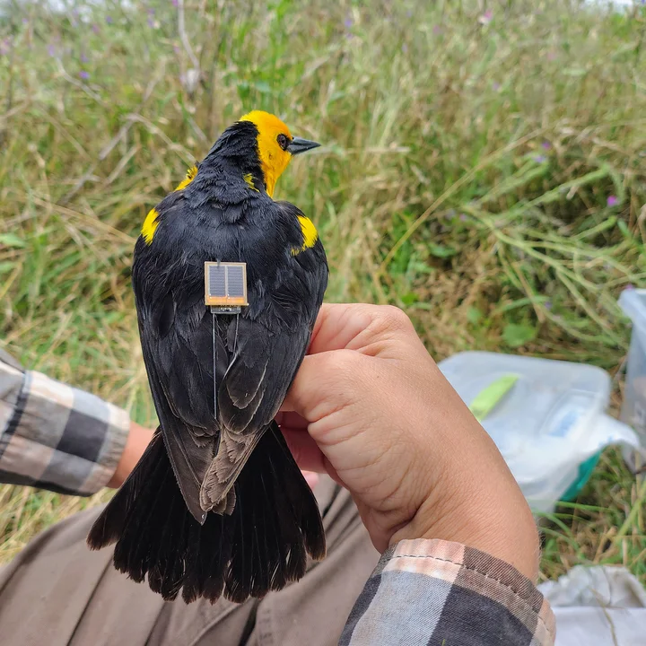 720 - 2026-03-21T210618.190