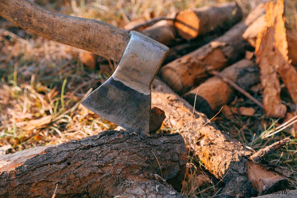 firewood-ax-wood-ax-cleaver-2200016