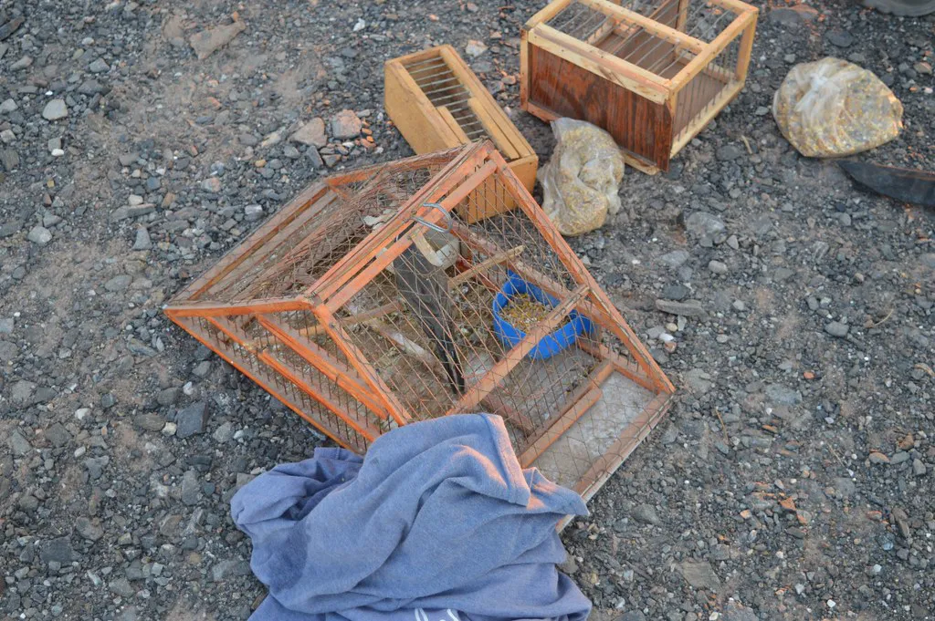 53407925041_314676af7b_b