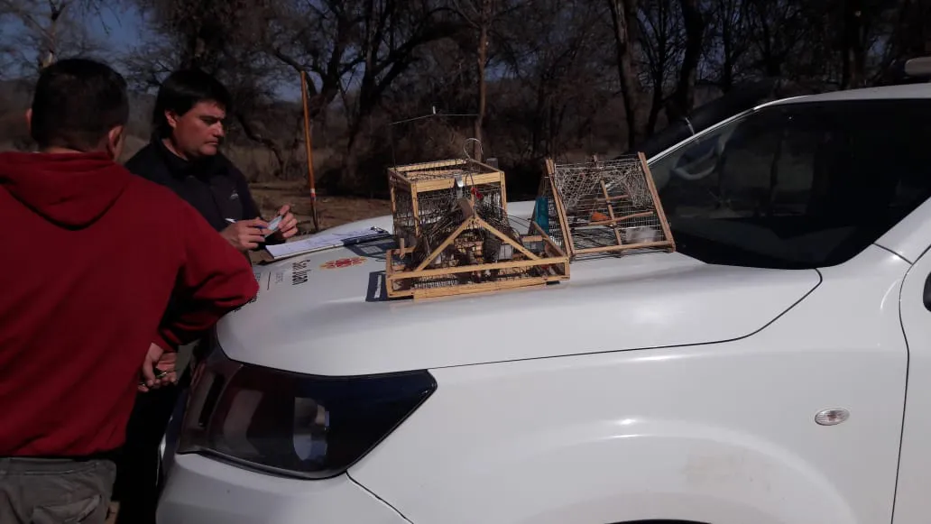 948101ad-ef5b-4e74-ab01-7937af202d3c