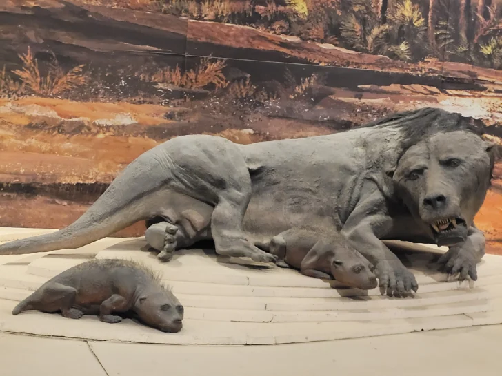 Ischigualasto-Valle-de-la-Luna-dinosaurios-17-728x546