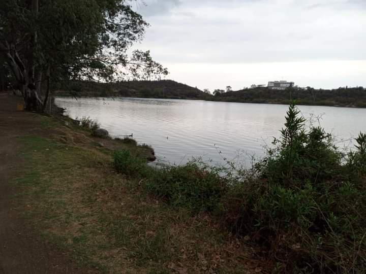 FB_IMG_1602700280073