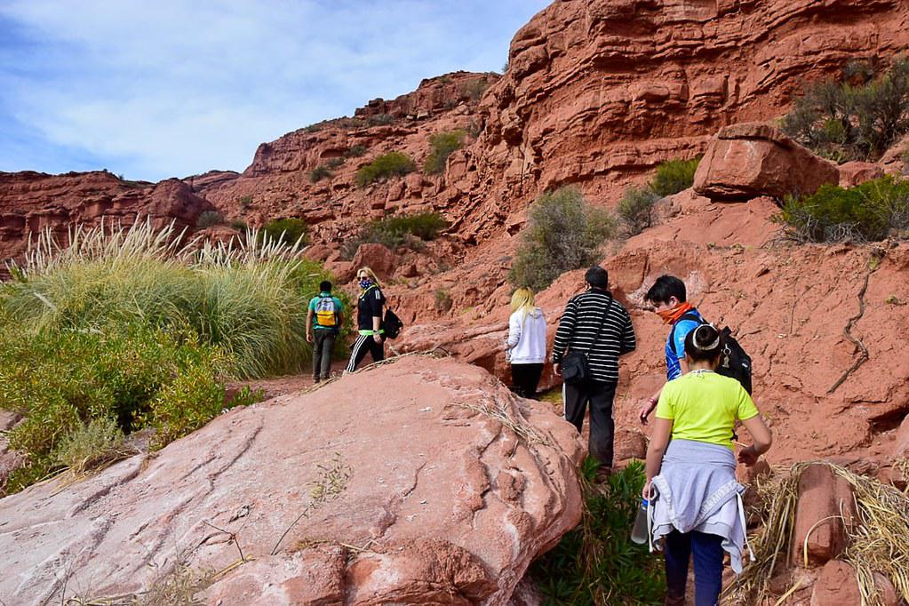 50106670706_f4b2d8144b_b