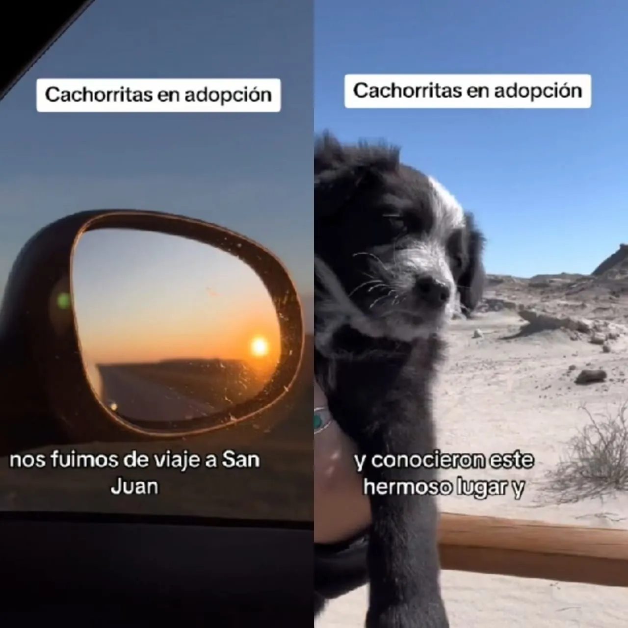 cf918bd2-0a2a-4806-a20d-c2af789d0501