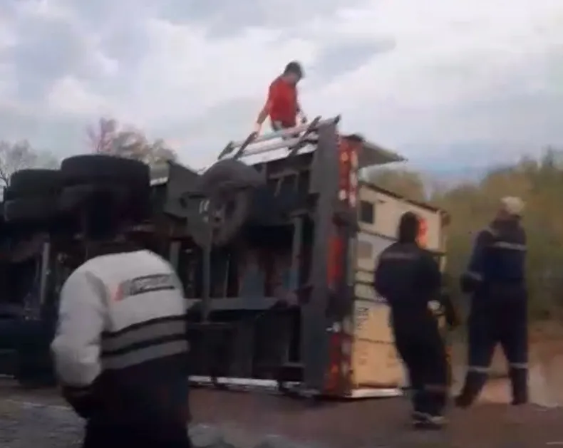 whatsapp-image-2026-01-31-at-94222-am