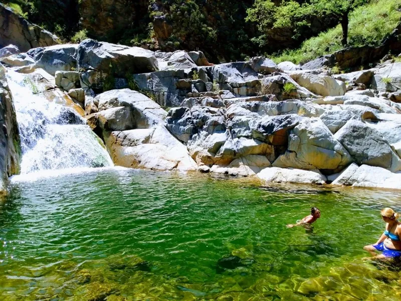 83158323_905116356553019_6549017393375477760_o