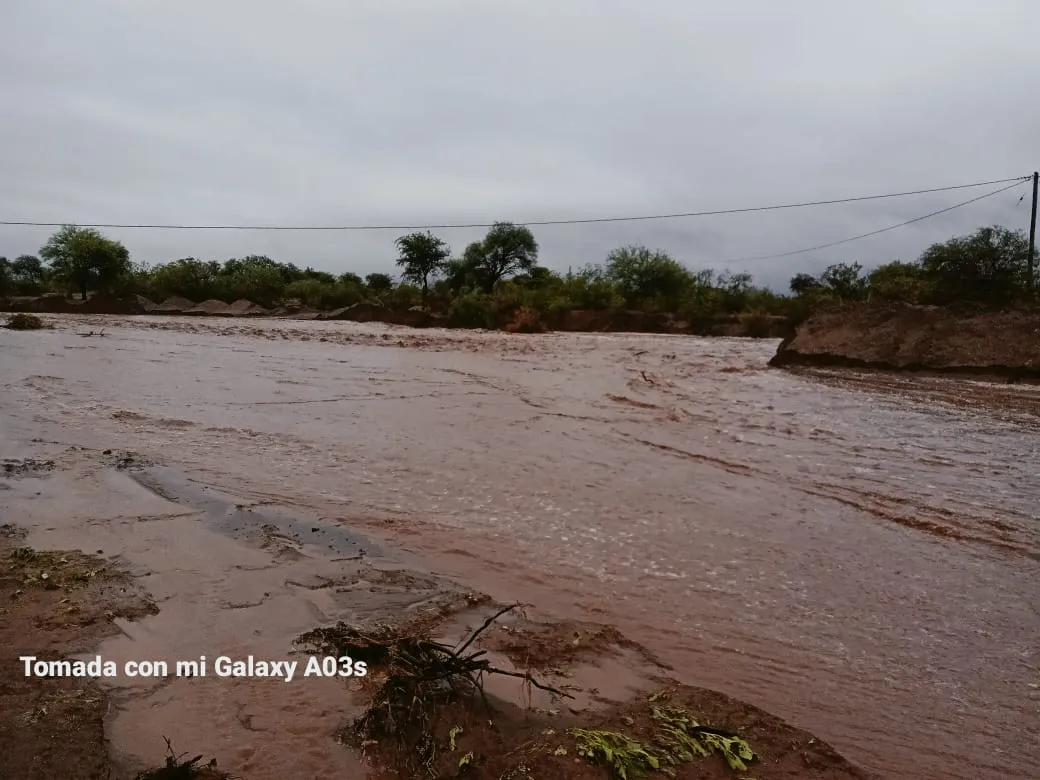 19cf9d4f-2162-4488-adf4-2215c76ff739