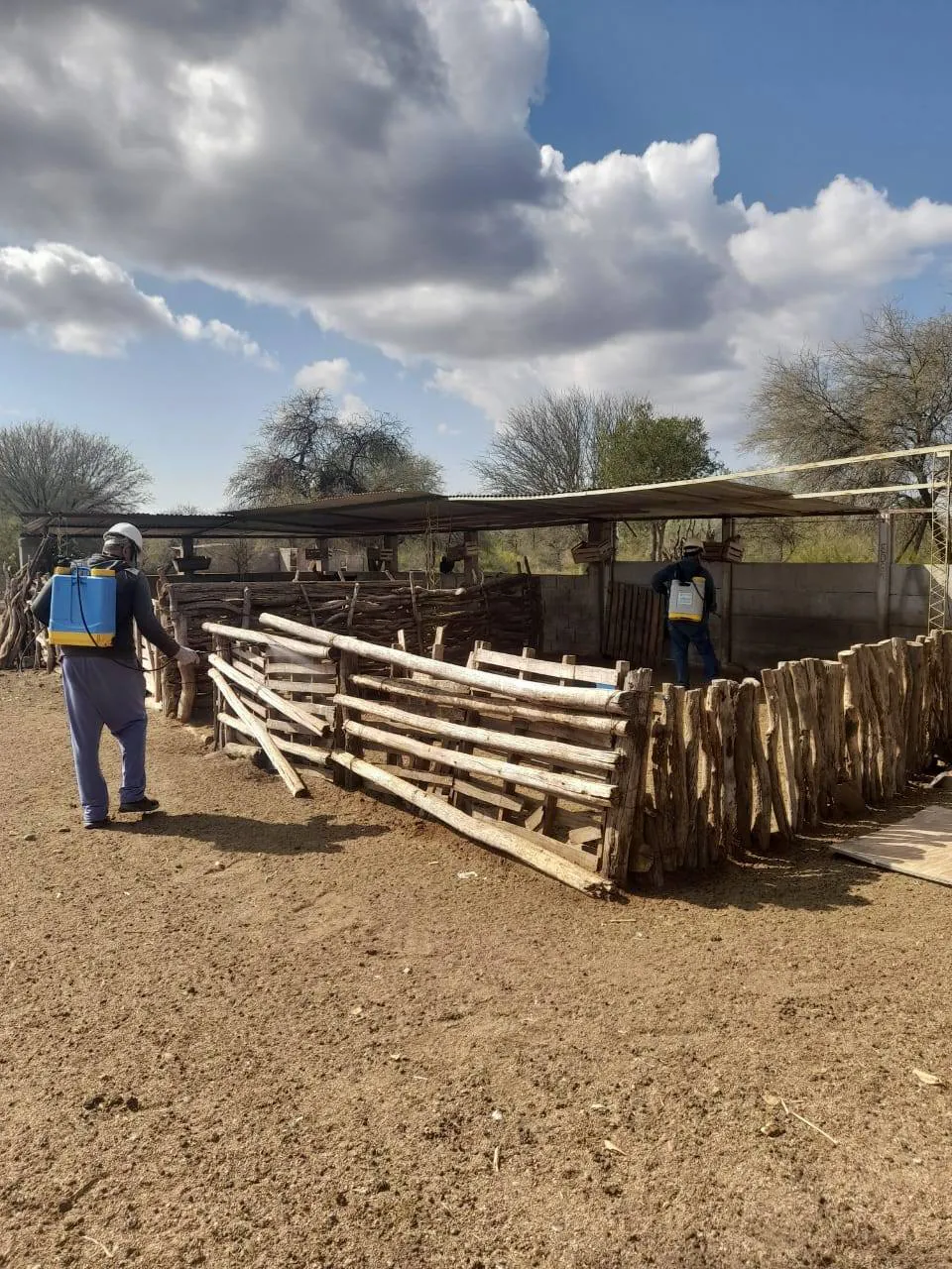 550779491_1216986633789624_9203585698777637907_n