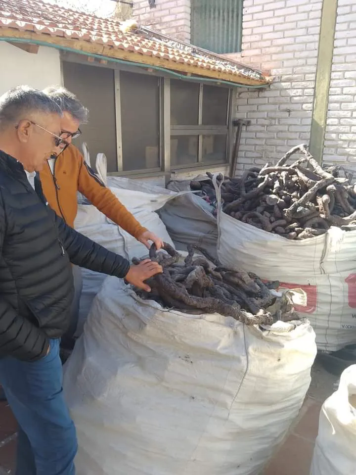 FB_IMG_1715308974492