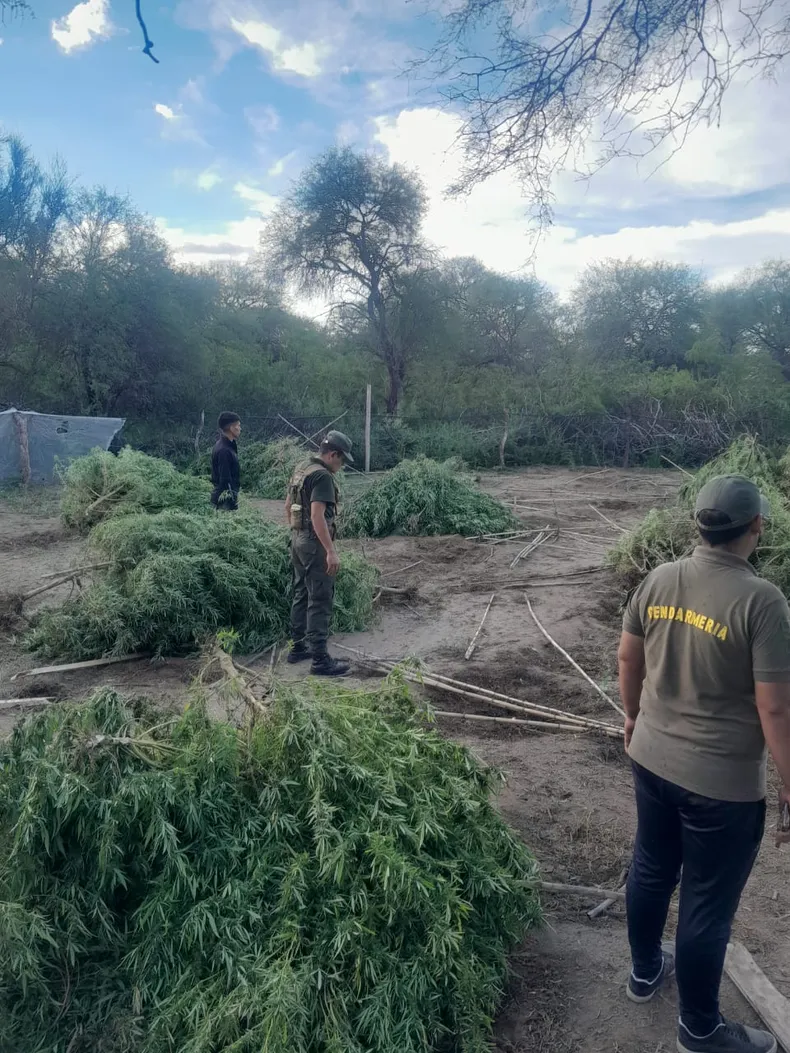 b360a54e-c012-420f-89b4-bf1a7e81fc80jpg