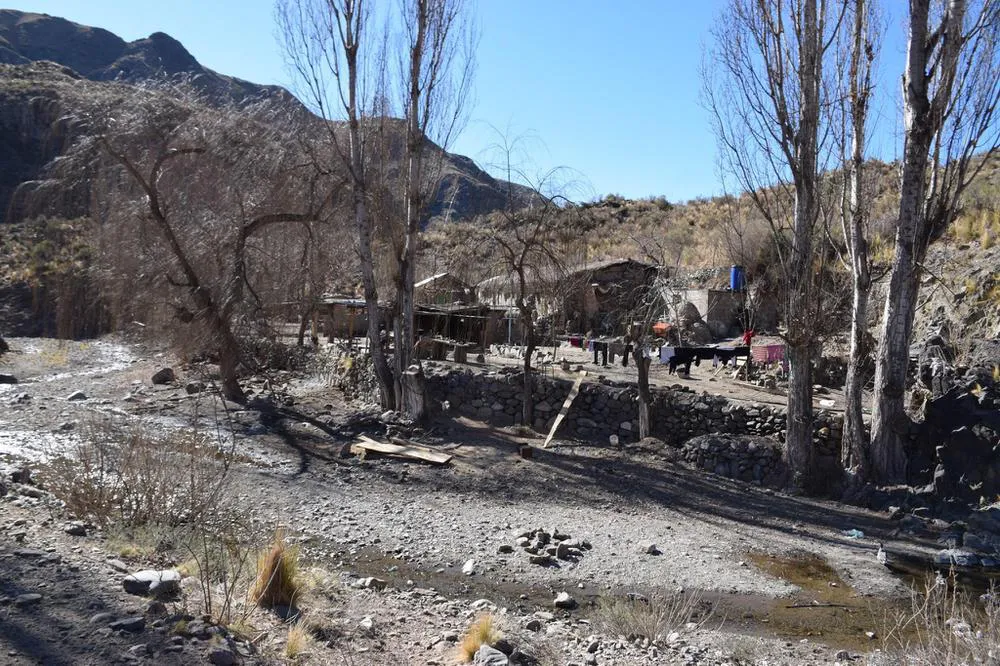 multimedia.normal.8432293e1b1a7d9c.3131363433343231365f333234383732373839353137303339335f31373238345f6e6f726d616c2e6a7067