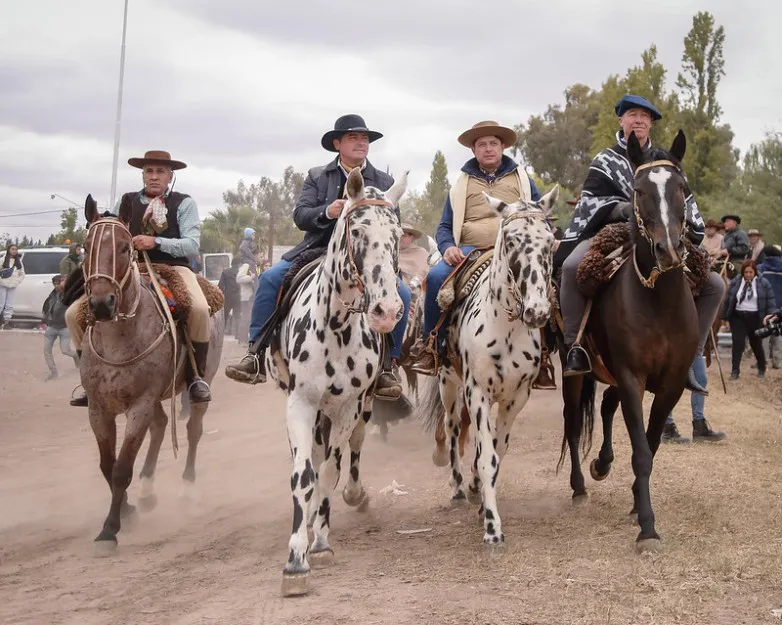 c2256b1e905a3a6dc6bcfa4153c0cdfb_L