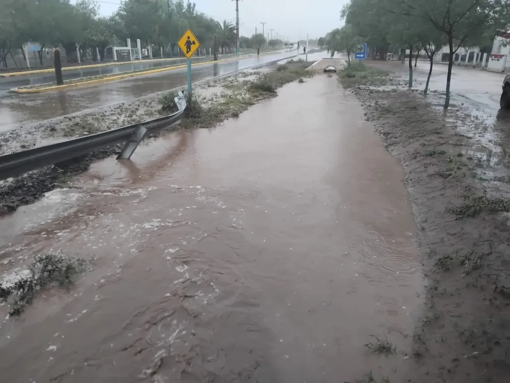 d81d95d5-64c9-4c36-88d6-4344814cad18