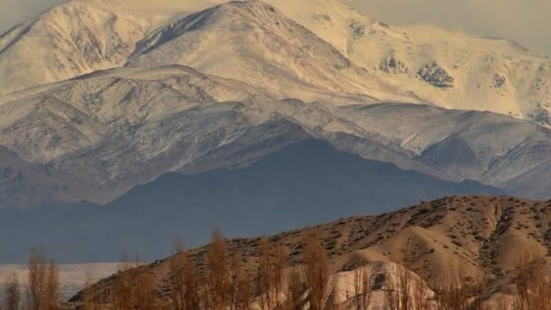 f800x450-219899_271345_174