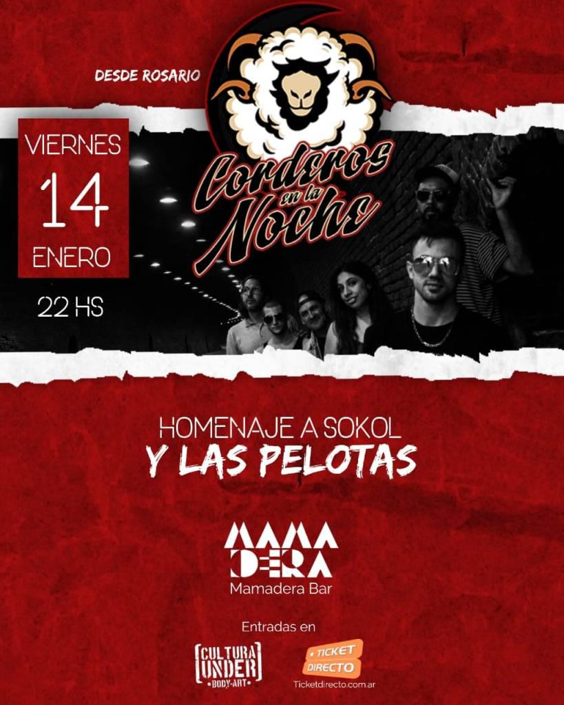 Corderos-de-la-noche-en-Mamadera