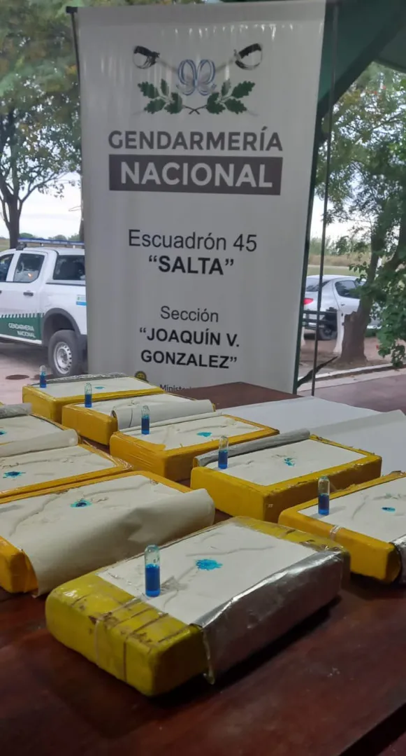 194_kilos_de_cocaina_ocultos_en_un_vehiculo_2