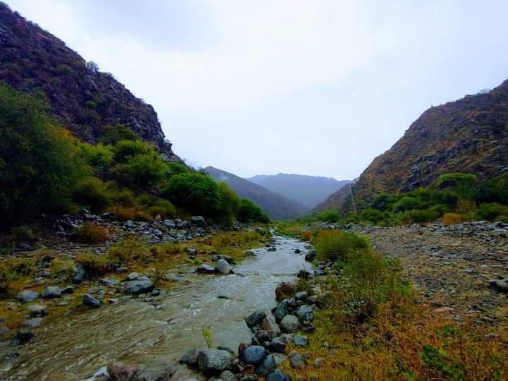 FB_IMG_1605628253684