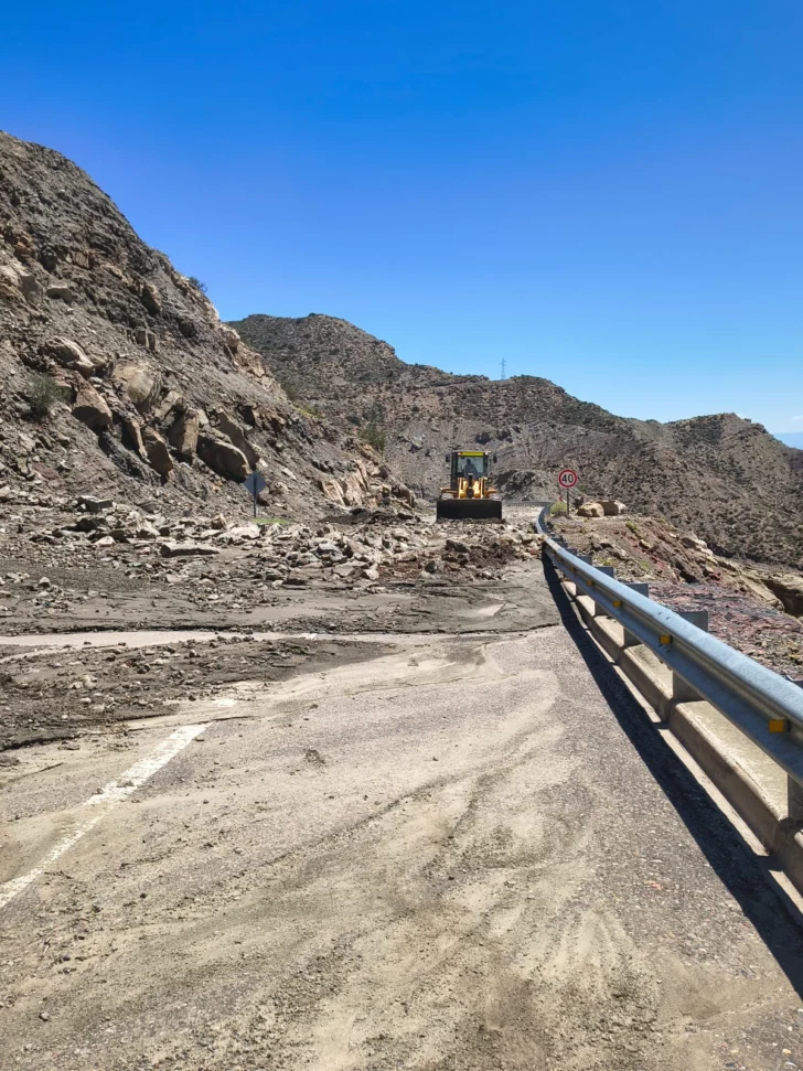 WhatsApp-Image-2026-02-02-at-16.48.43-728x971