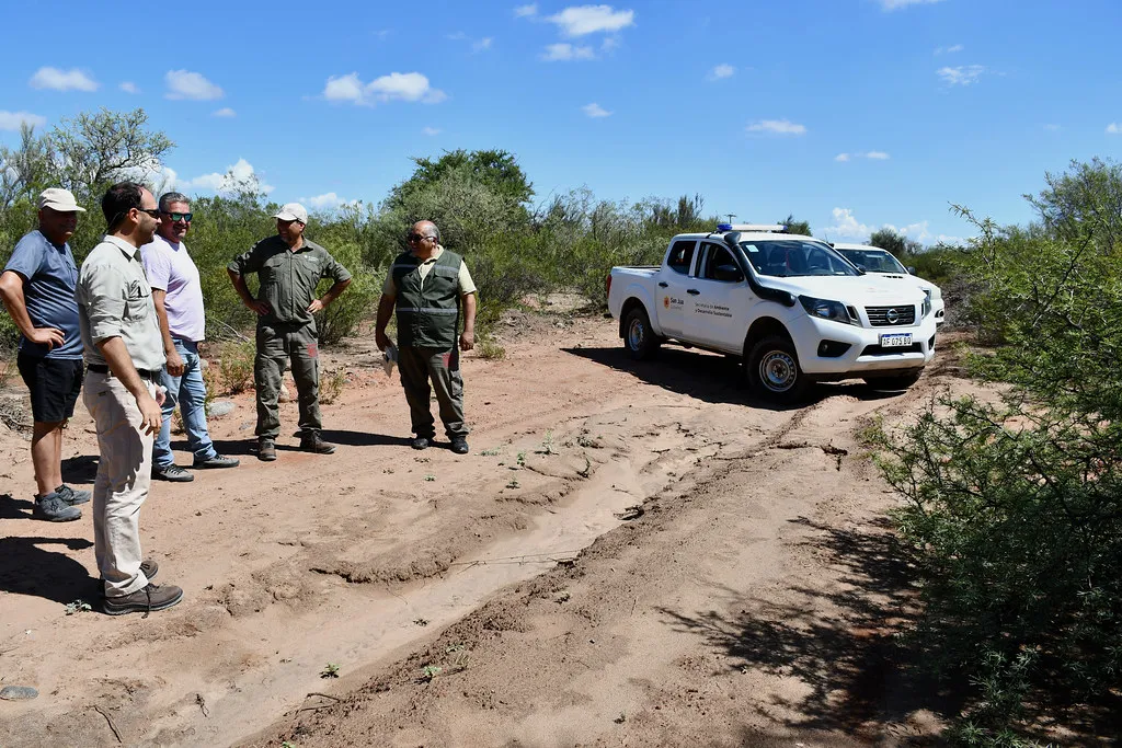 54293315330_85762977e4_b