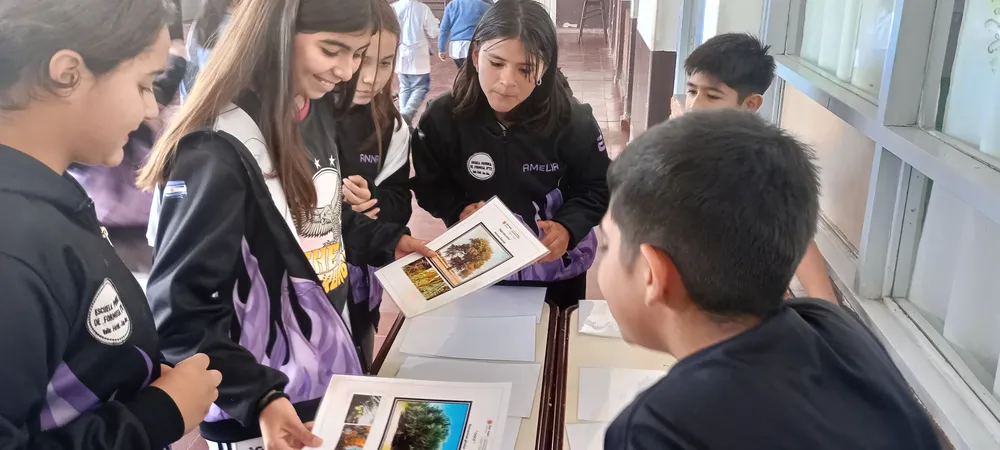 IMG_20240607_152837_HDR