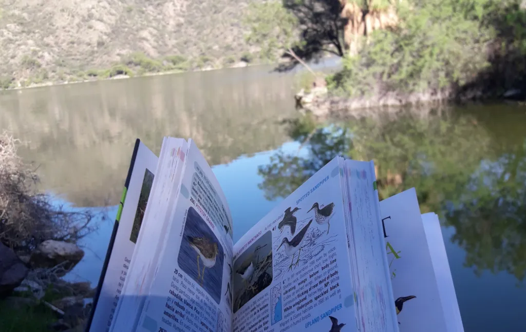 Diseno-sin-titulo-71-1024x647