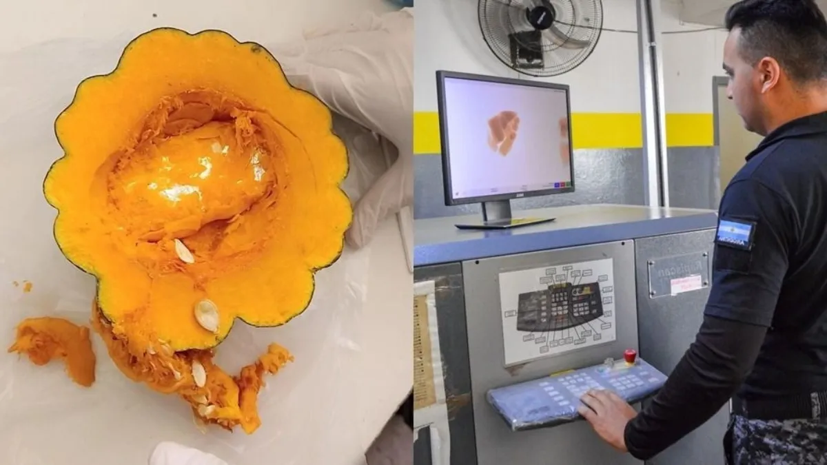 zapallo-cocaina-penal